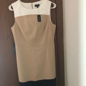 The Limited color block sheath dress.